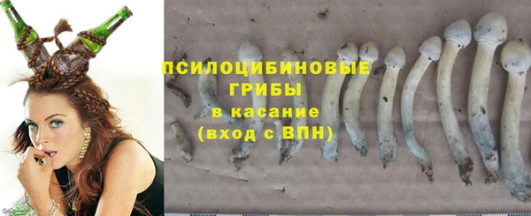 mix Козельск