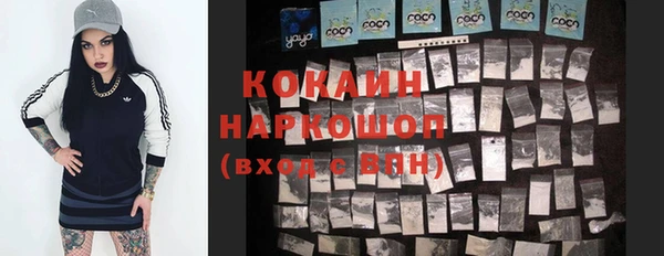индика Козловка