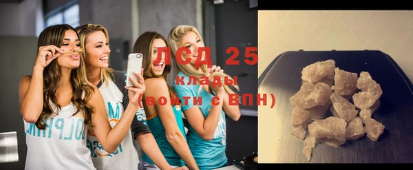 индика Козловка
