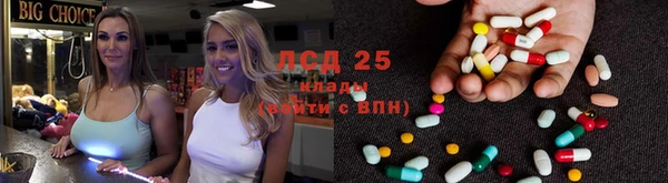 индика Козловка