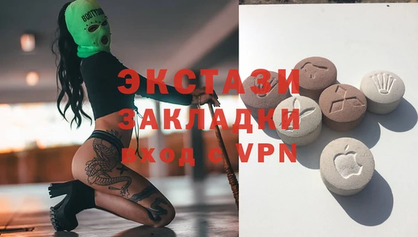 индика Козловка