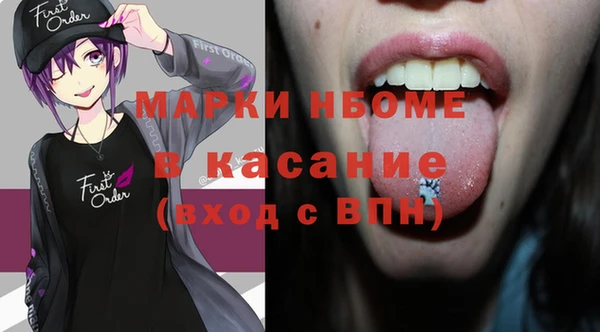 индика Козловка