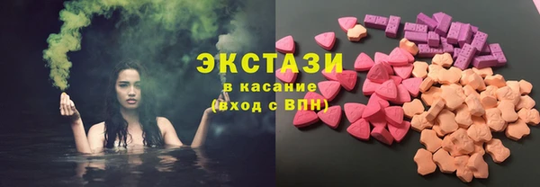 индика Козловка