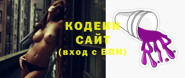 индика Козловка