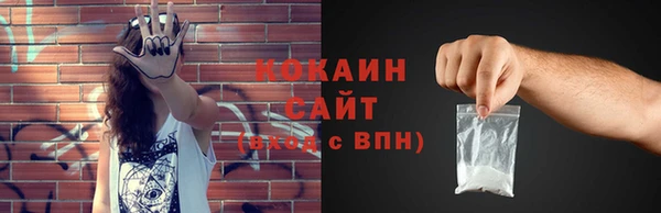 индика Козловка