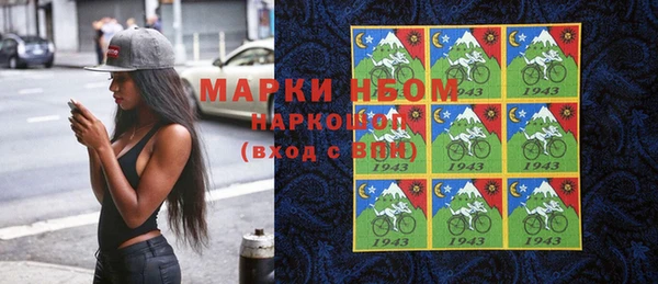 индика Козловка
