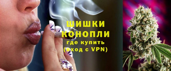 индика Козловка