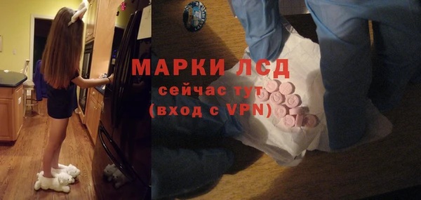 индика Козловка