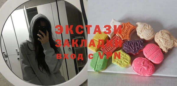 индика Козловка