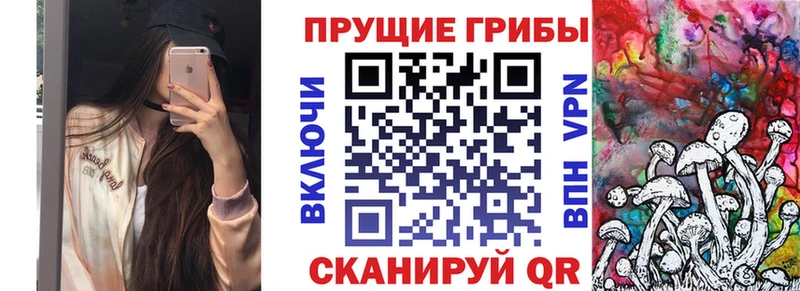 Псилоцибиновые грибы Psilocybe  Бердск 